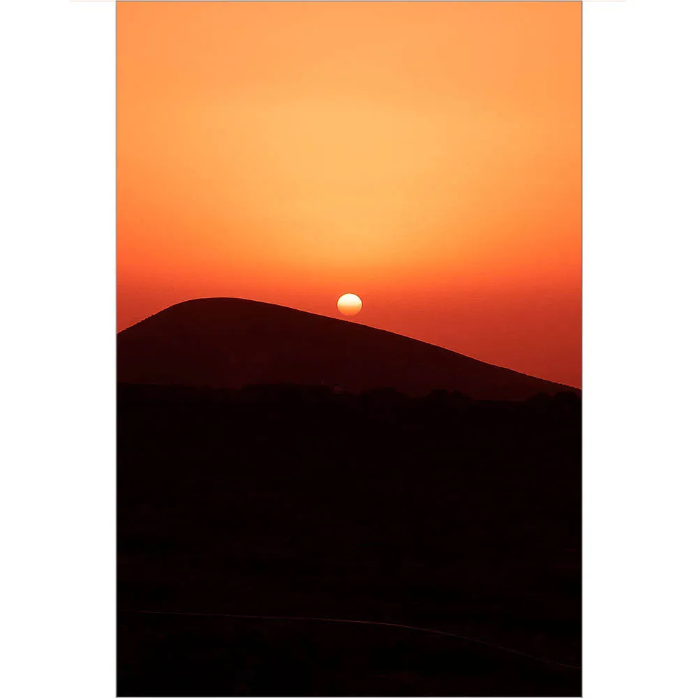 Desert Sun