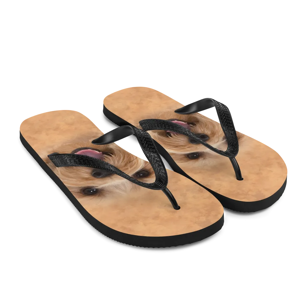 Yorkie Dog Flip-Flops