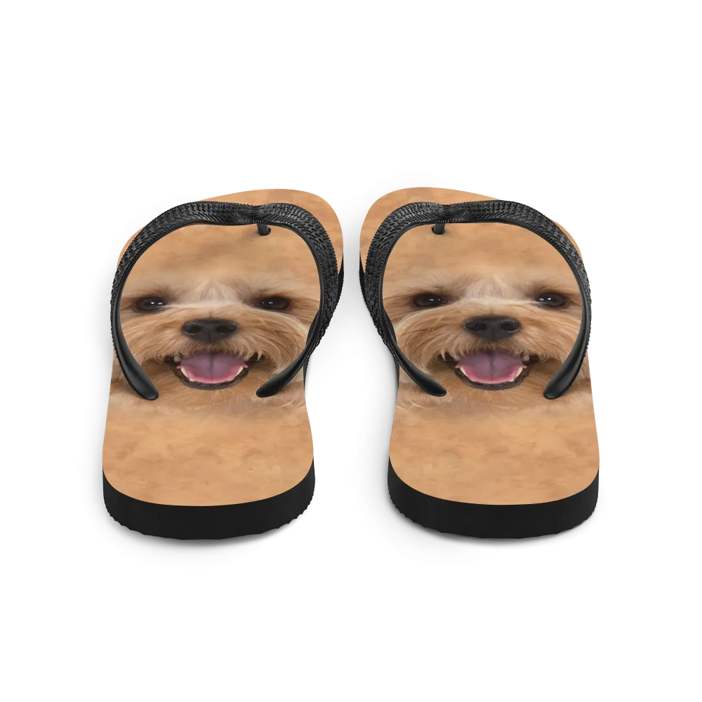 Yorkie Dog Flip-Flops